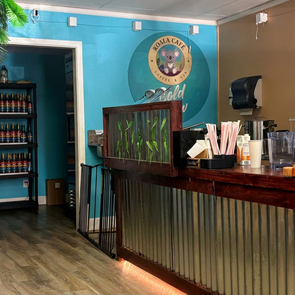 Koala Cafe counter with corrugated metal paneling, coffee supplies, beverage refrigerator, tropical tree decor, and colorful turquoise walls.