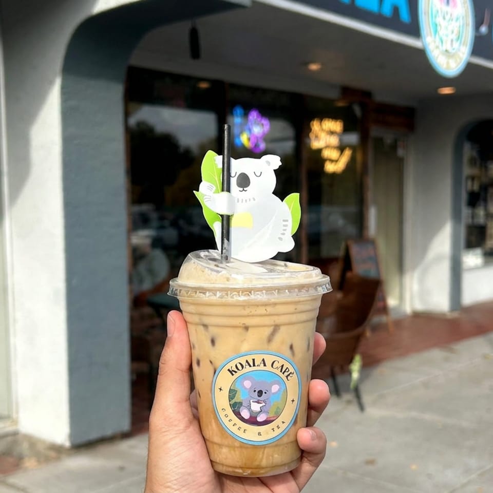 Hand holding an iced coffee from Koala Café outside the café entrance, topped with a koala decoration and straw.